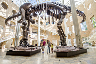 Atlanta CityPASS&reg;